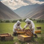 Пасечник собирает белый мёд на ферме Beymaral в Кыргызстане